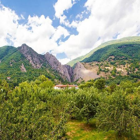 Irenes Resort Káto Loutrákion Dış mekan fotoğraf